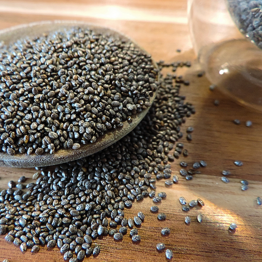 Graines de chia