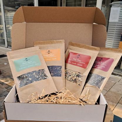 Coffret Découverte