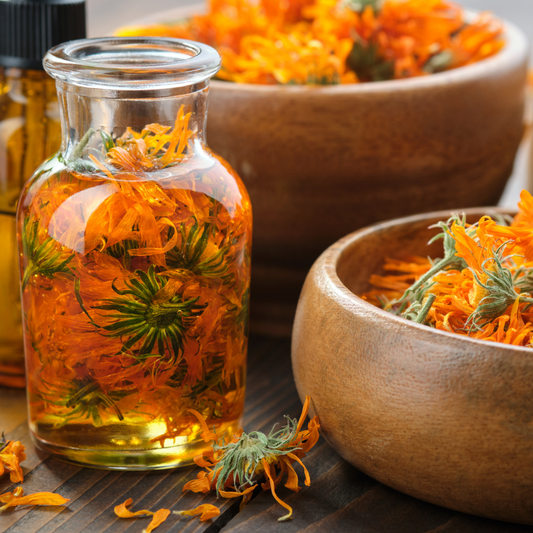 Macérat huileux de Calendula