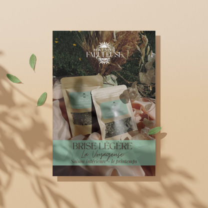 Infusion ✧ Brise Légère ✧